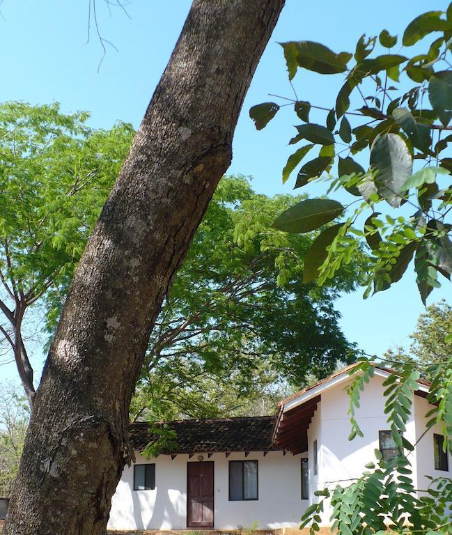 Finca Buena Fuente Residence Hotel Nicoya Exterior foto